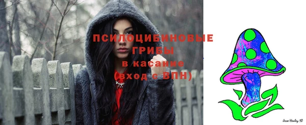 apvp Осташков
