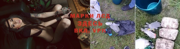 мяу мяу мука Осинники