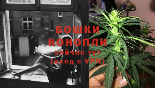 мяу мяу мука Осинники