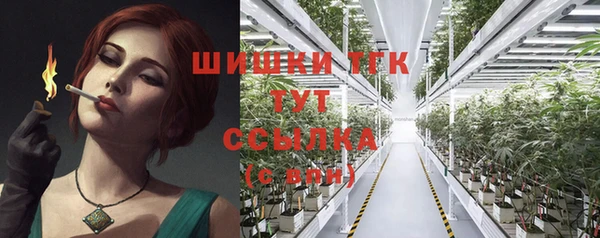 apvp Осташков