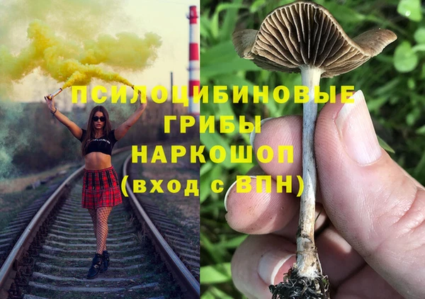 apvp Осташков