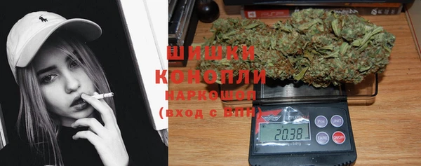 apvp Осташков