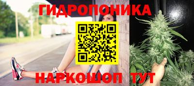 mix Гусиноозёрск