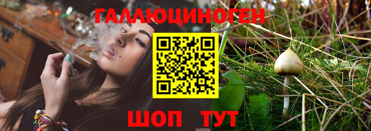 Мурино  Галлюциногенные грибы Magic Shrooms  Галлюциногенные грибы мухоморы  Вход с VPN 