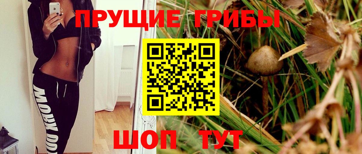 Псилоцибиновые грибы Magic Shrooms Мурино